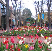 Boulder's Pearl Street