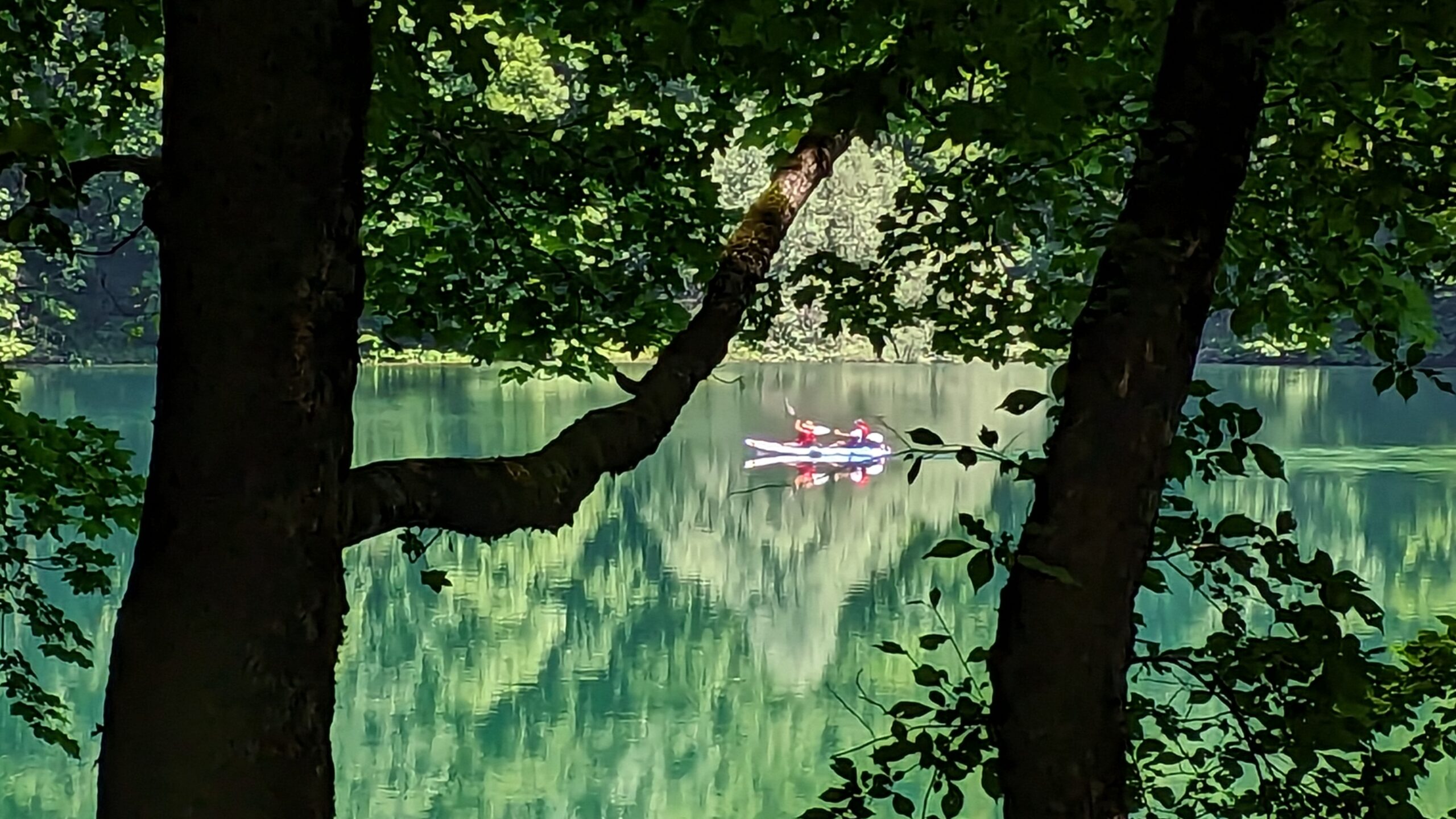 PXL_20230620_100520468