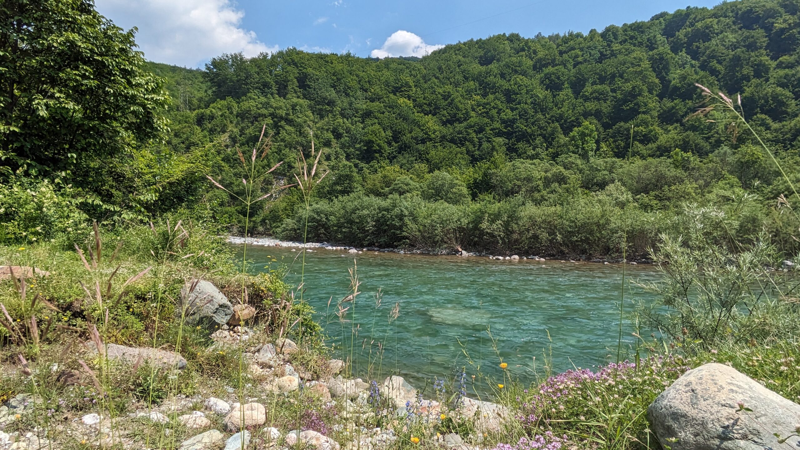 PXL_20230620_120130273