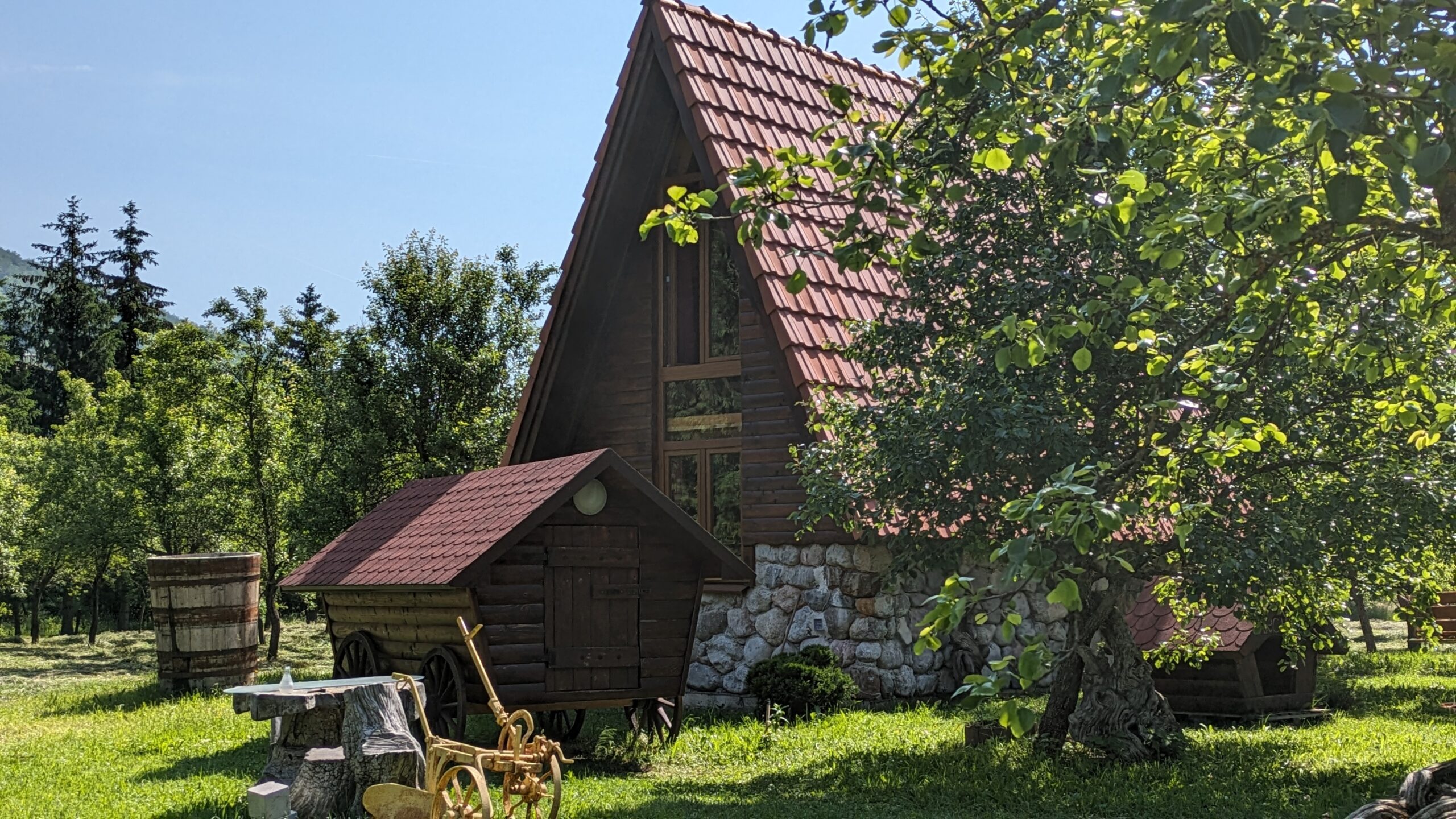 PXL_20230621_074719006.PORTRAIT.ORIGINAL