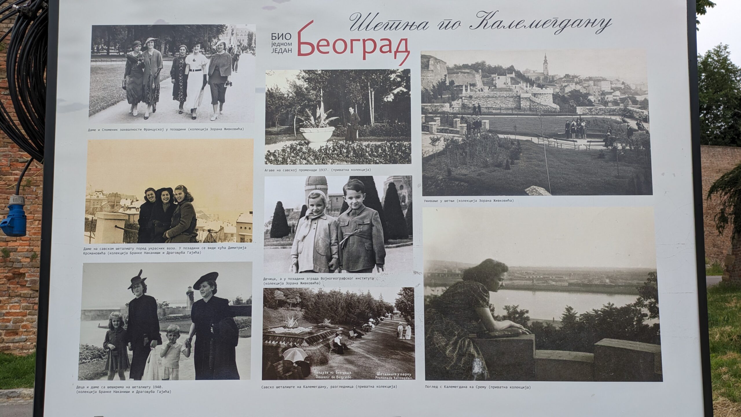 PXL_20230628_084453778