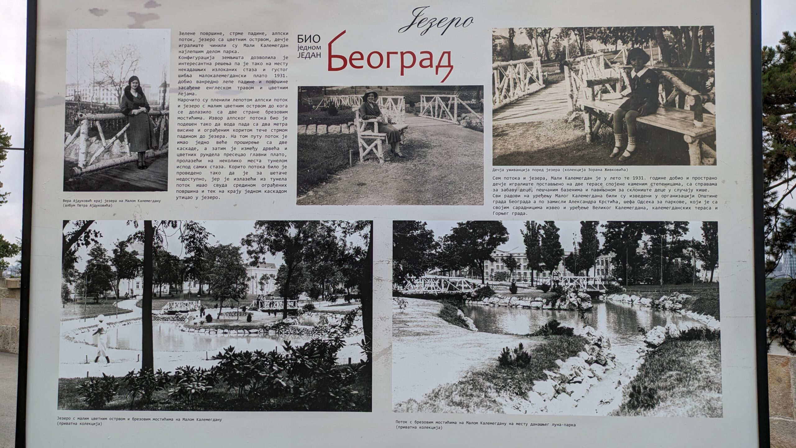 PXL_20230628_085002506