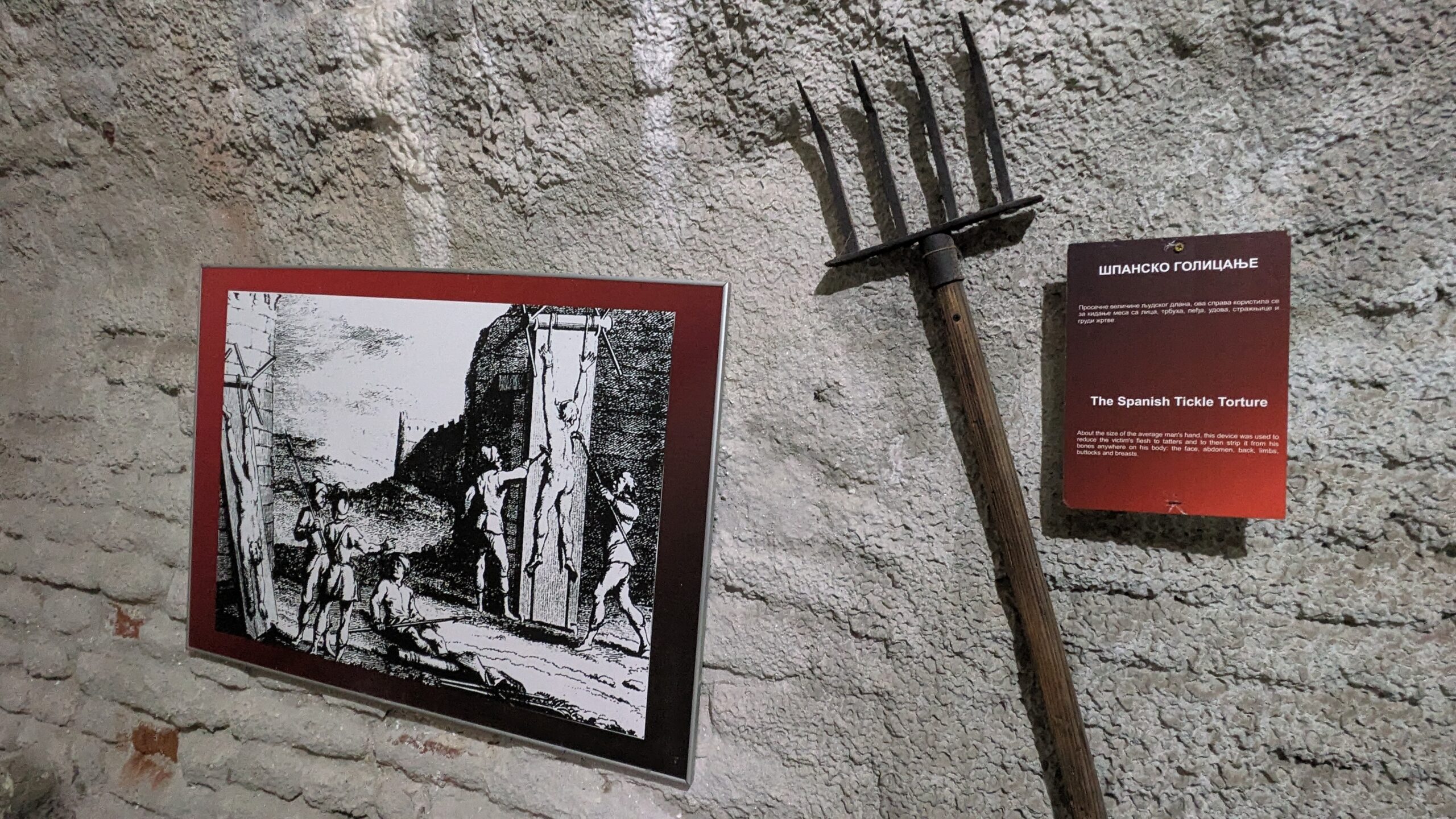 PXL_20230628_092935843