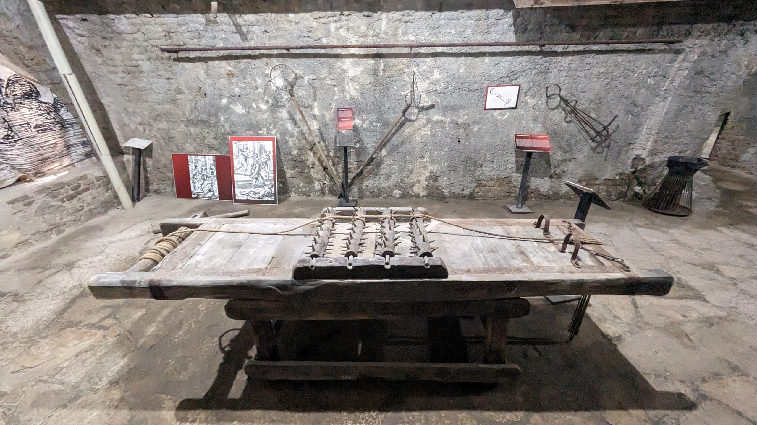 PXL_20230628_093510244